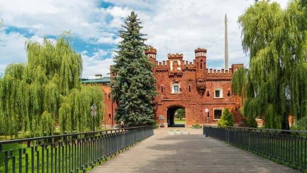Брестская крепость и Беловежская пуща в формате «всё включено»