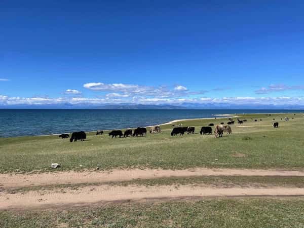Два глубочайших озера-брата: путешествие на север Монголии и на Ольхон