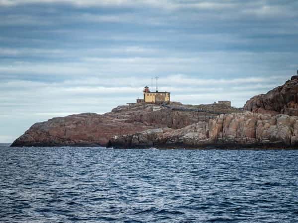 Зима в Териберке: время горбатых китов