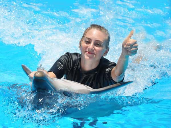 Плавание с дельфинами в бассейне 5 минут