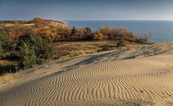Пиво, тайны и дорога в дюны. Кёнигсбергский уикенд