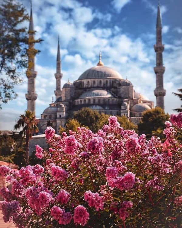 Открывая Стамбул - обзорная прогулка по столице Османов