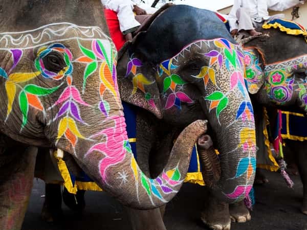 Рукодельный тур в Индию: мастер-классы по вышивке и рисование на слонах