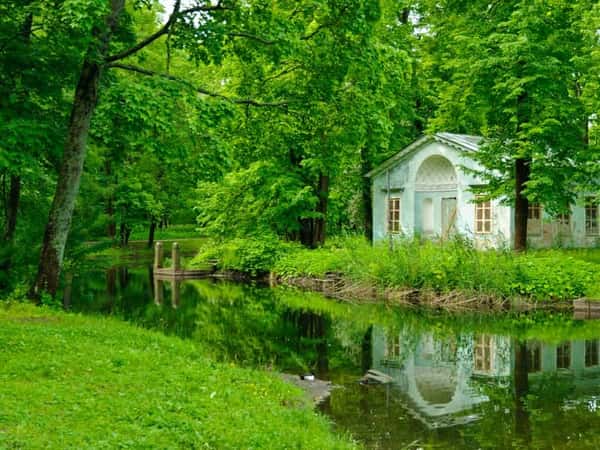Прогулка по улицам Пушкина
