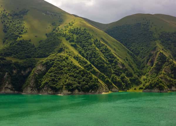 Весенний дуэт кавказских республик: Чечня и Дагестан