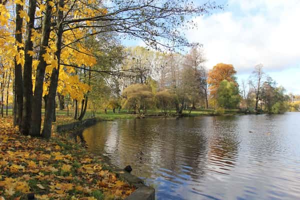 Озерки и Шуваловский парк. Прогулка по живописным местам на севере Петербурга
