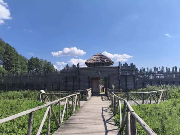 Экскурсия из Бреста в самое сердце Беловежской пущи на микроавтобусе