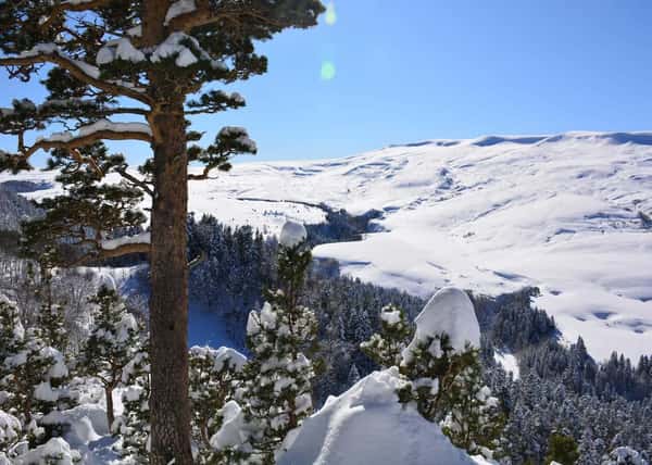 Мультиактивный отдых в Адыгее за 11 дней зимой