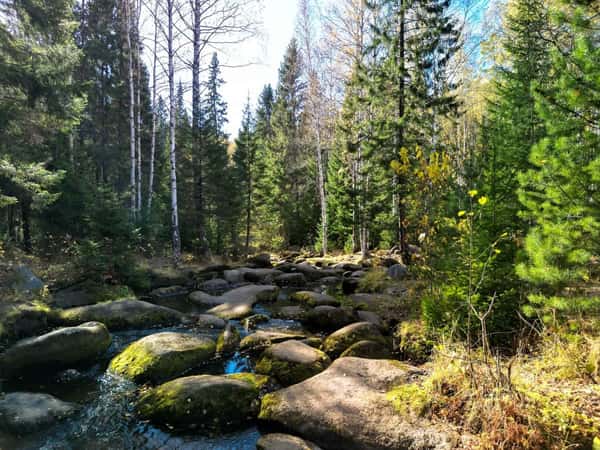 Поход к скалам Соколиный камень - из Екатеринбурга