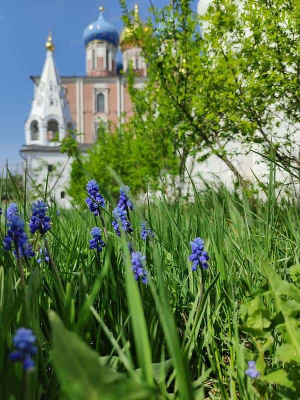 Обзорная экскурсия по Рязани «Загадки старинного города»