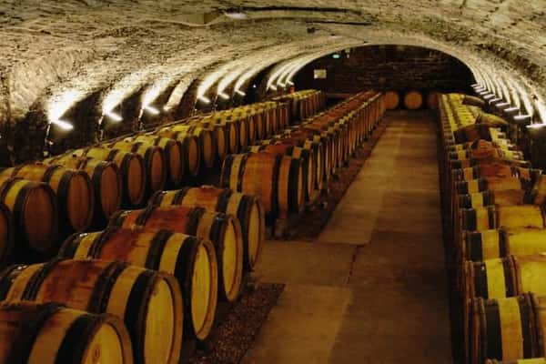 Обзорная экскурсия по Бону и дорога вин Кот дё Бон (Côte de Beaune)