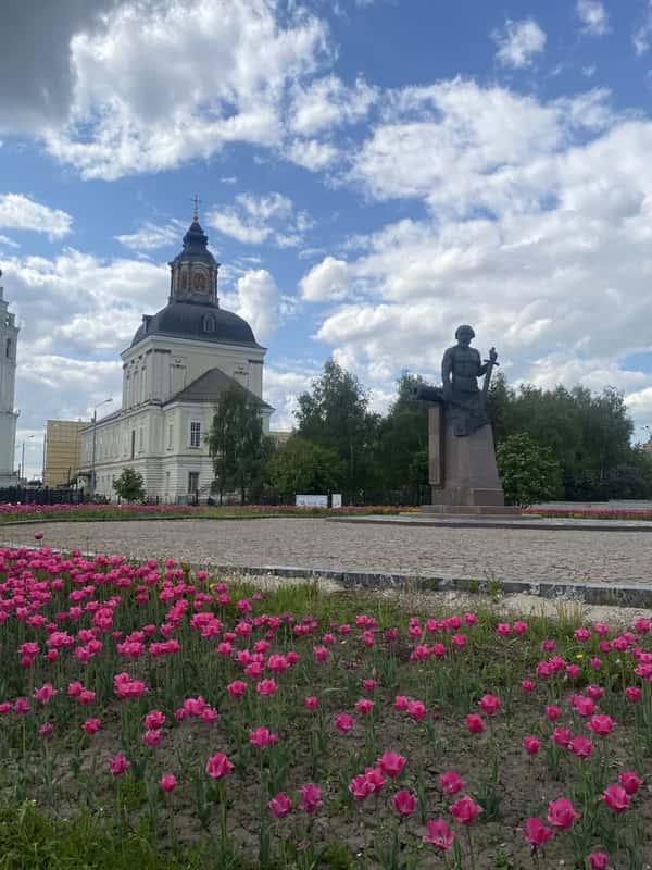 По следам легендарной блохи