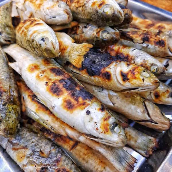 Морская Рыбалка в Белеке