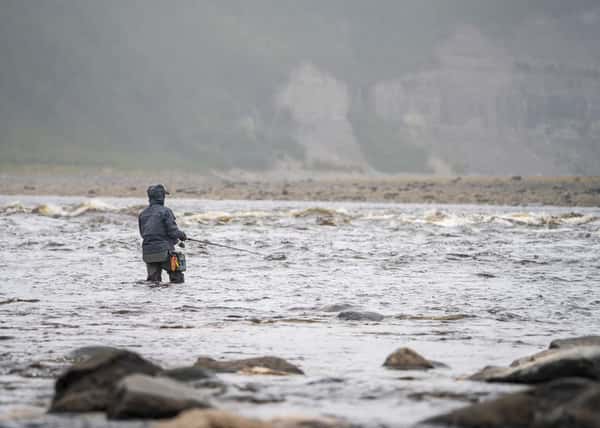 Рыбалка на тайменя на реках Котуй и Котуйкан