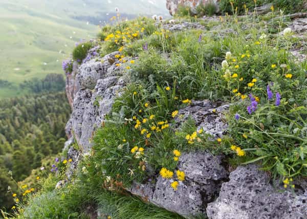 Мультиактивный отдых в Адыгее за 11 дней весной