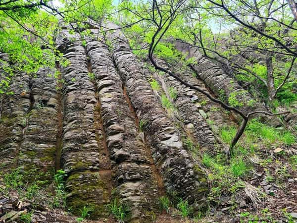 Из Хабаровска - на «Каменные водопады»