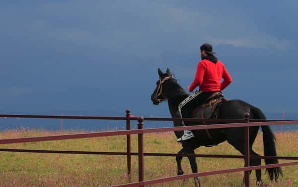 На лошадях по горам Карачаево-Черкесии: выходные с конными прогулками и дегустациями
