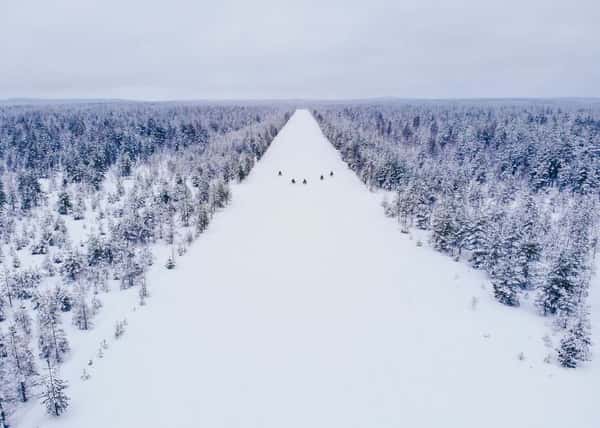 Новогодний эксклюзив в Карелии. Снегоходное сафари