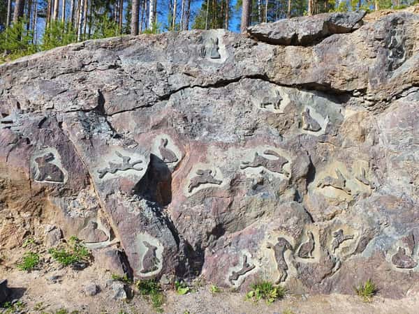 Увидеть всё: Золотое кольцо Карелии за один день
