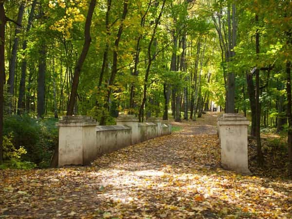 Усадьба братцево в москве фото