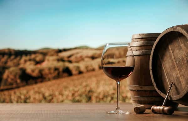 Дегустация вина на винодельне близ Палермо