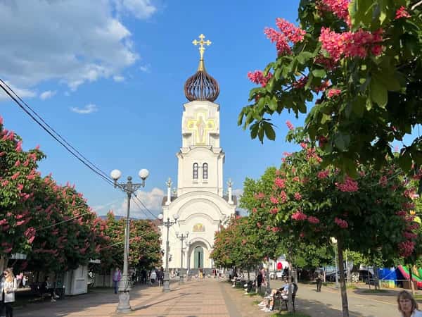 По Новороссийску - на автомобиле