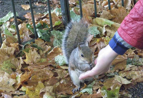 Тур для детей