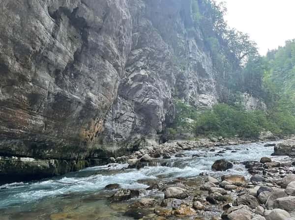 Экскурсия к волшебнице Рице