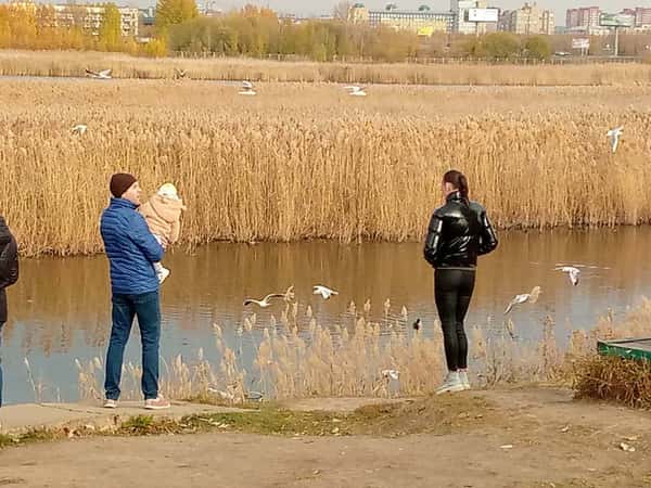 Прогулка по местам силы