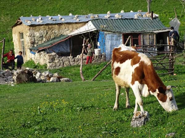 Кавказ у ваших ног: Баку - Гусар - Шахдаг