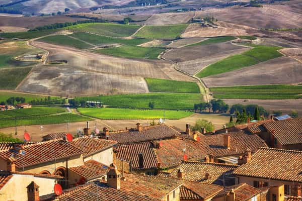Дегустация Брунелло - великих вин территории Монтальчино