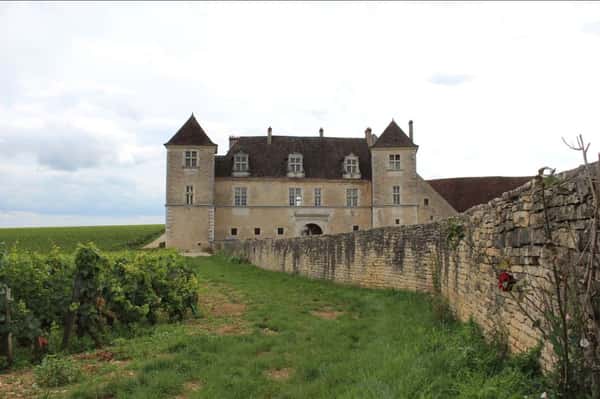 Обзорная экскурсия по Дижону и дорога вин Кот дё Нюи (Côte de Nuits)