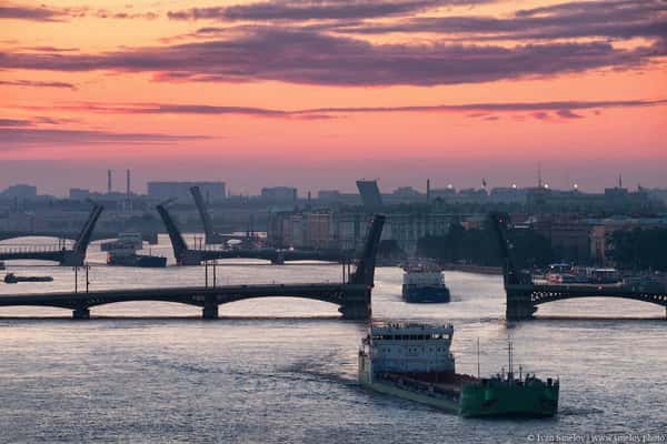 Увидеть с крыши как разводят знаменитые мосты Петербурга!