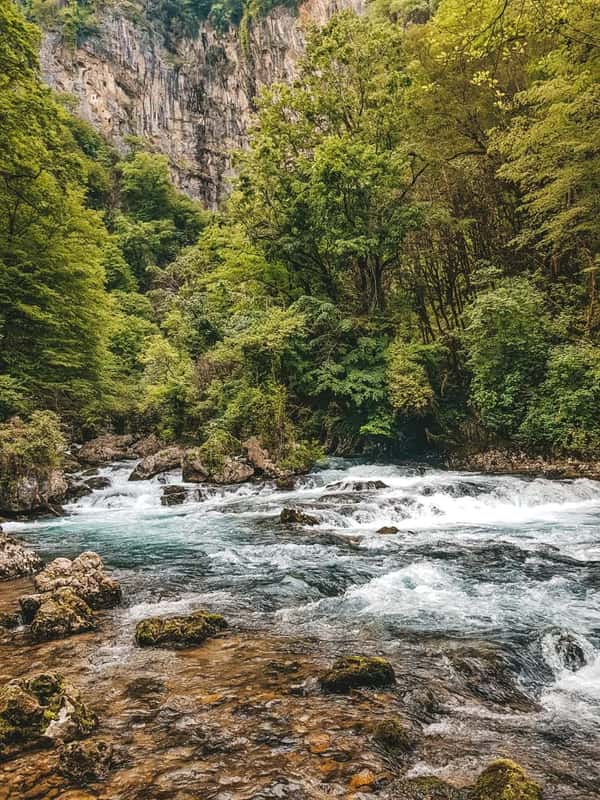 Экотур по Абхазии: этнопарк, форель и ущелье