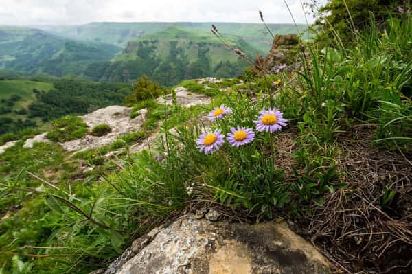 Плато Бермамыт - настоящая шкатулка с сокровищами