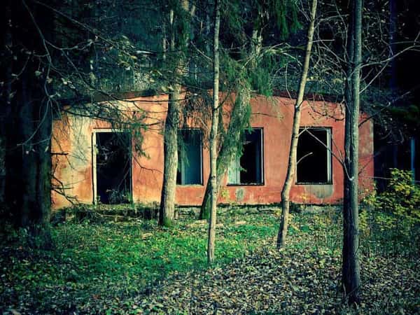 Меняем музеи на заброшки под Петербургом