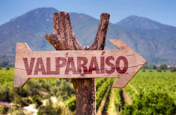 Чили - страна вина и альпак