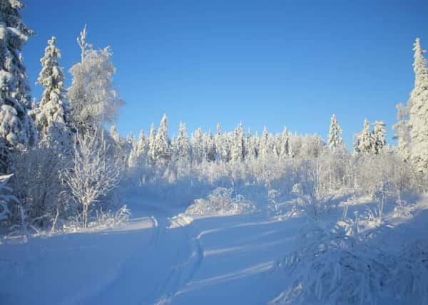 Зимние каникулы в Карелии