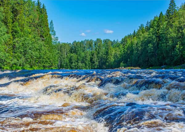 Белые ночи в Карелии. Экскурсионная программа и сплав по реке Шуя