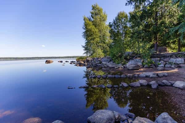 Монрепо сквозь времена и судьбы