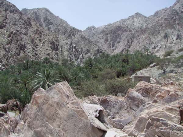 Пешая экскурсия по историческим местам Фуджейры