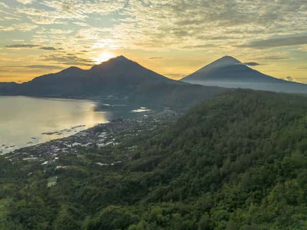 Обзорная экскурсия по Бали: лес обезьян, рисовые террасы и горячий источник