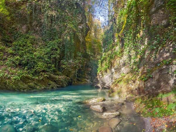 Дикий Сочи: от пещер до самшитовой рощи