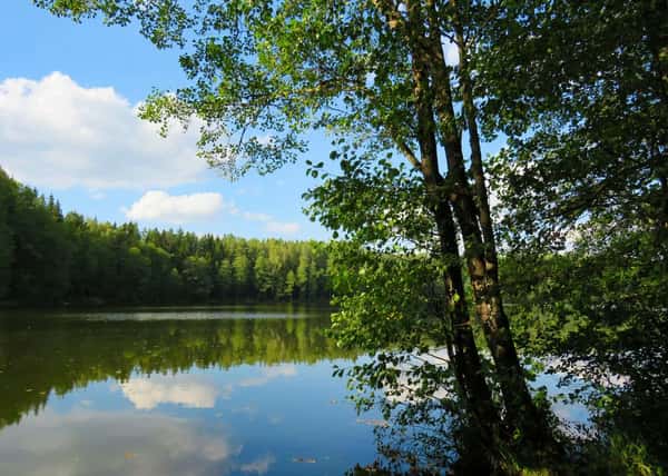 Заповедный край озер, лесов и рек. Тур в Ивановскую область