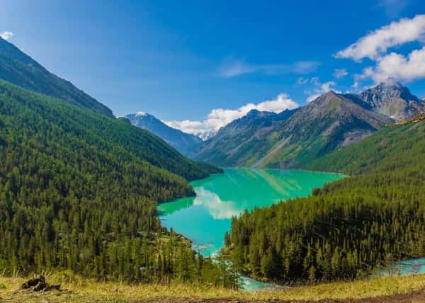 Пеший тур к подножью Белухи