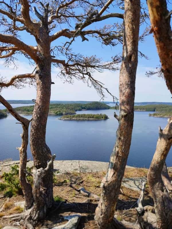 Ладога вне шаблонов: индивидуальное путешествие по шхерам