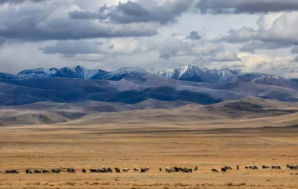 В окружении Саян: тур по Аршану и Монголии