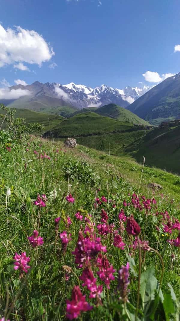 Владикавказ национальный парк Алания