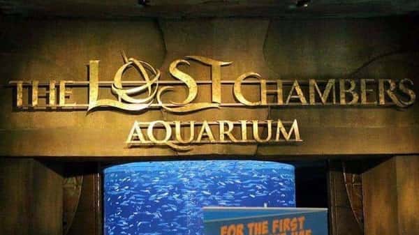Секреты подводного мира: аквариум Lost Chambers (входной билет)
