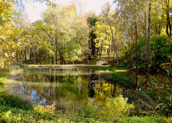 Большая Псковская Энциклопедия (4 дня)